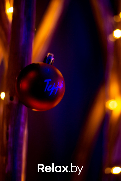 Happy New Year in Terra, фото № 61