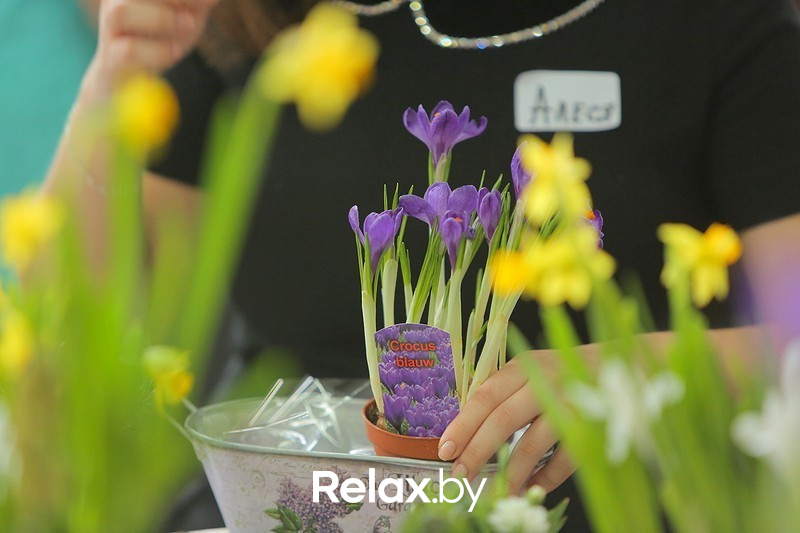 Воркшоп #Весенний лес, фото № 12