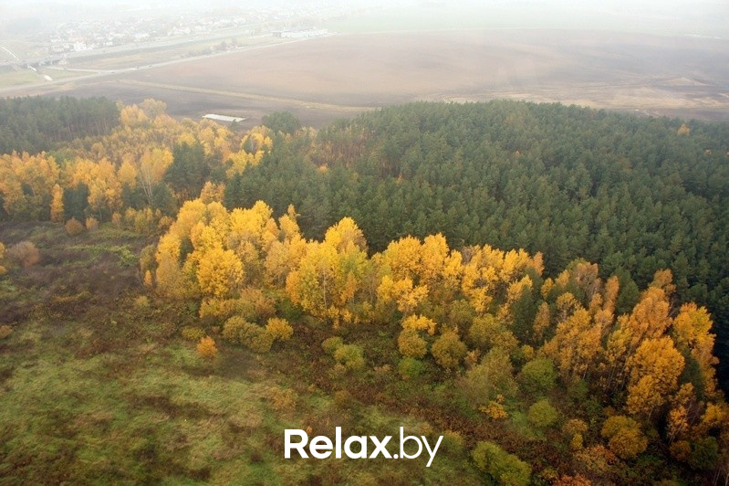 Воздушная прогулка relax.by, фото № 96