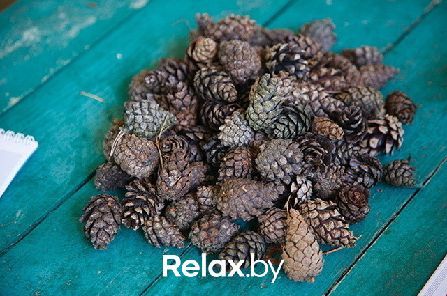 Расти в продажах ярко!, фото № 72