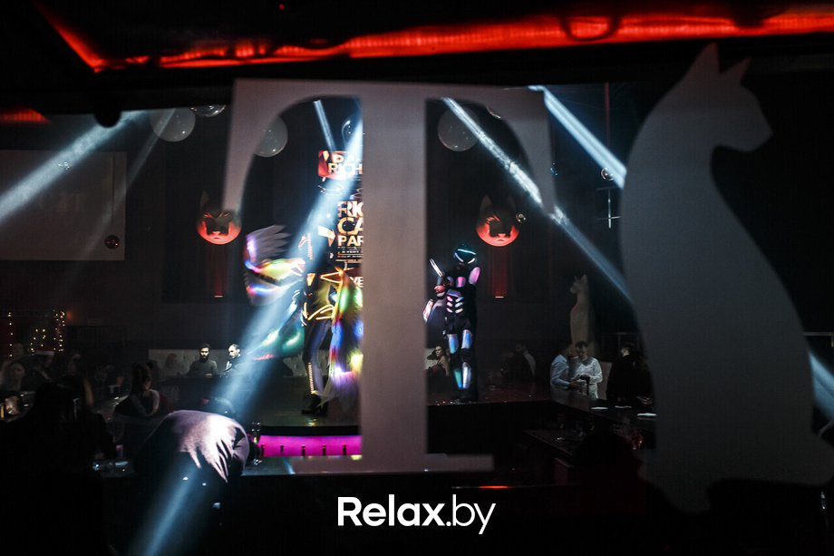 Новый год Rich Cat, фото № 58