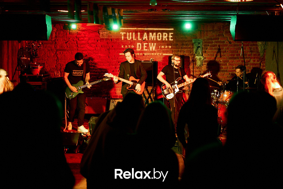 Tullamore St.Patrick's Day, фото № 100