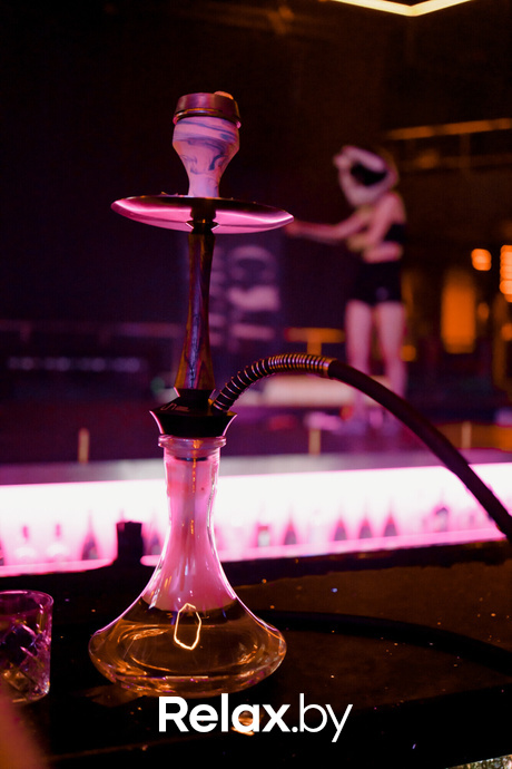 Rich Cat friday, фото № 98