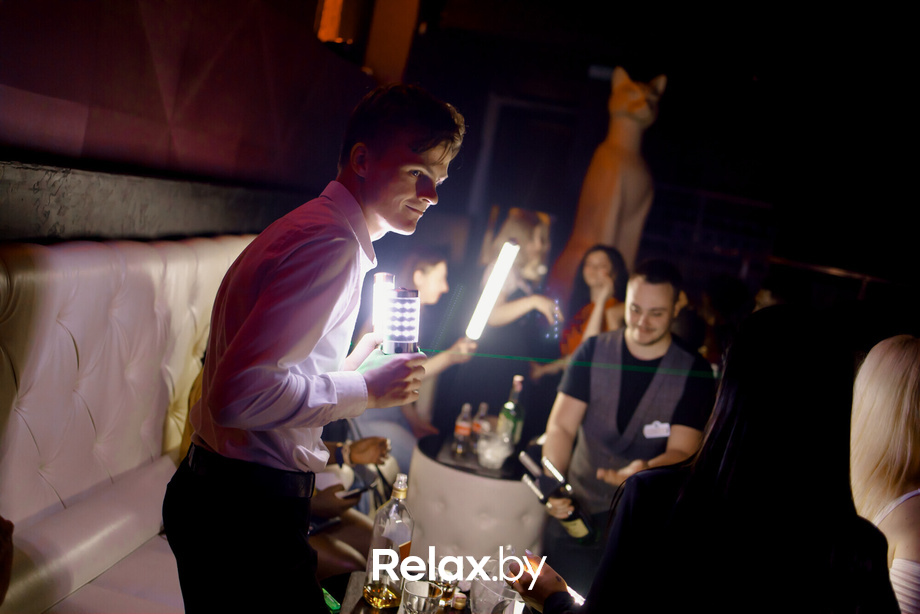 Rich Cat friday, фото № 94