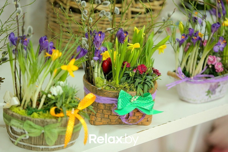 Воркшоп #Весенний лес, фото № 42