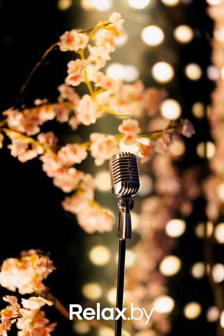 Терра Караоке, фото № 30