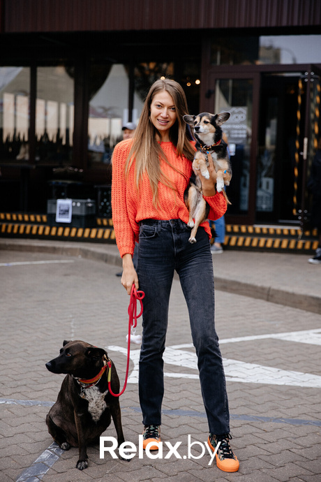 Благотворительная акция пушистого добра, фото № 134