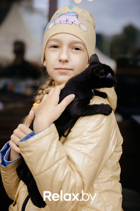 Благотворительная акция пушистого добра, фото № 104