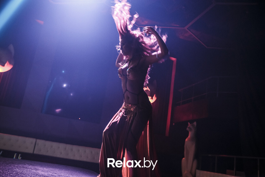 New Season in RICH CAT, фото № 28