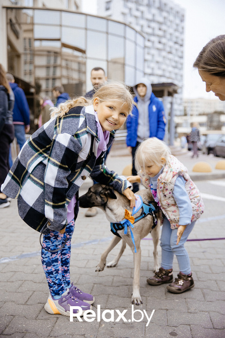 Благотворительная акция пушистого добра, фото № 103