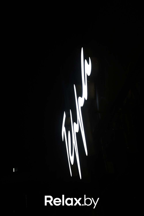 Terra party, фото № 2