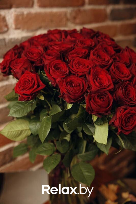 Отдыхаем Броварно, фото № 68