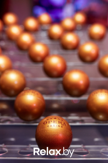 «LIXIANG L9 и оркестр Classic Energy», фото № 5