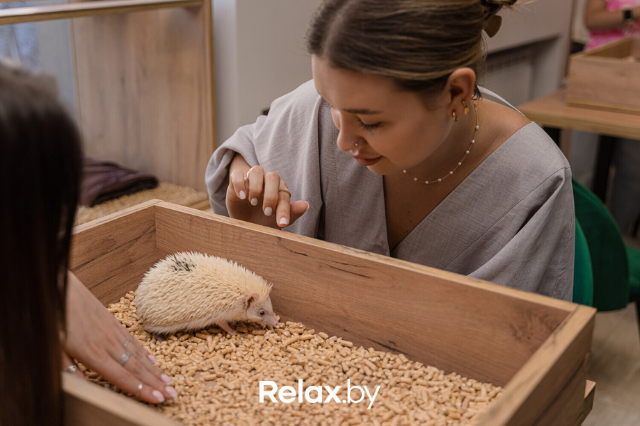 Открытие антикафе «Ёж кафе», фото № 31