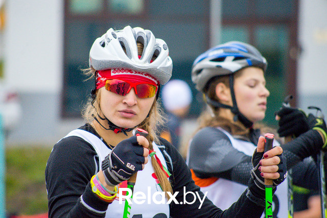 Золотая осень с Васильками, фото № 83