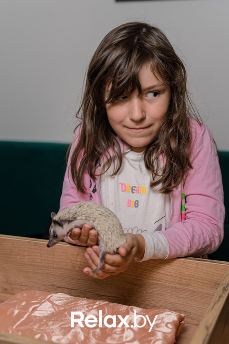 Открытие антикафе «Ёж кафе», фото № 23