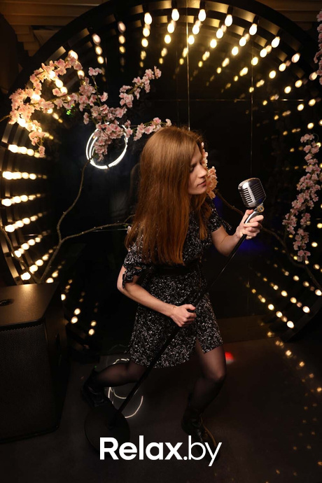 Терра Караоке, фото № 7