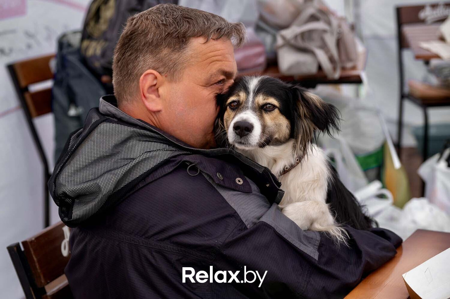 Акция пушистого добра, фото № 63