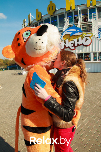 Акция ко Дню защиты животных, фото № 45