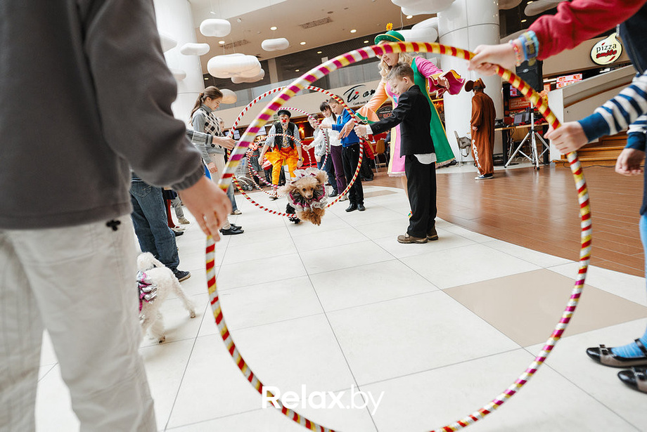 Благотворительный закрытый показ «Ловушка для привидения», фото № 37