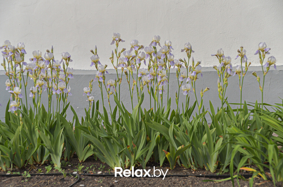 Пешеходная экскурсия по Минску, фото № 70