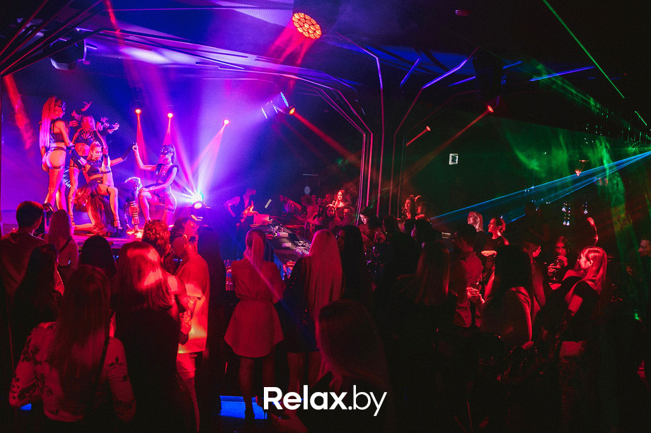 Birds show, фото № 35