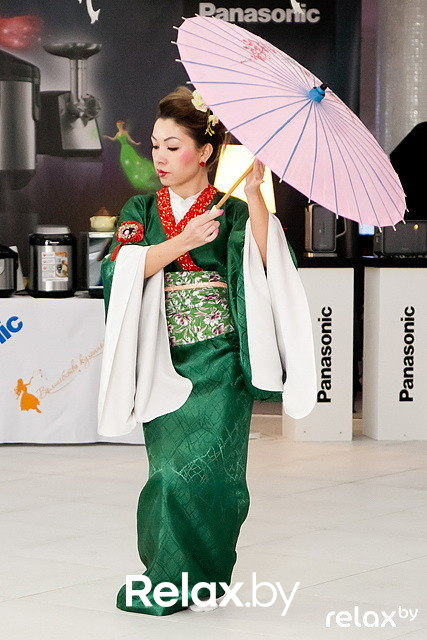 Презентация Panasonic, фото № 90