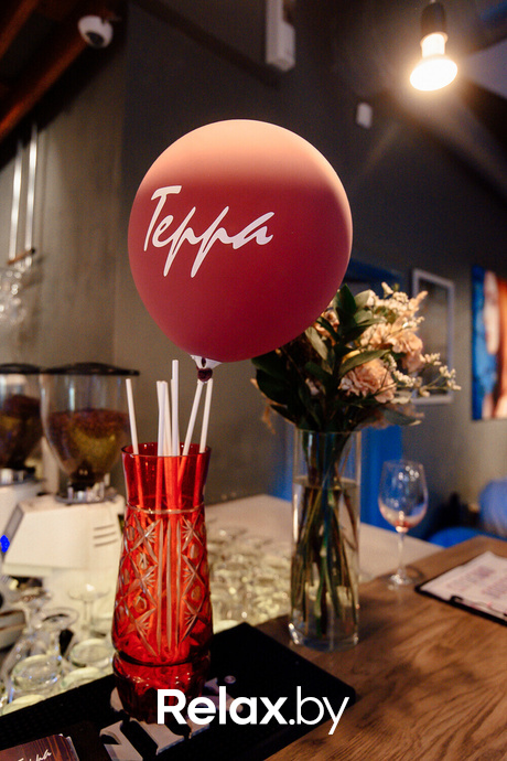 Terra Party, фото № 1