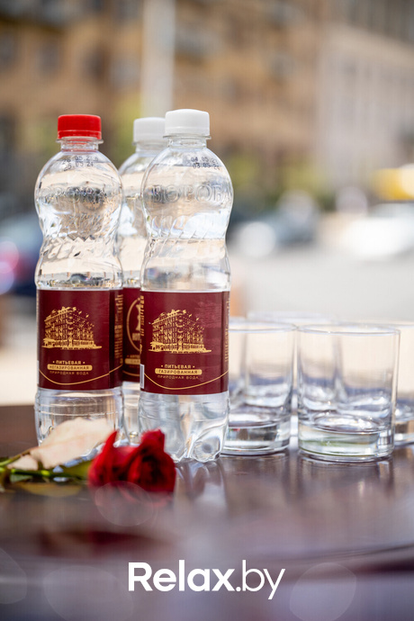 Открытие каретного дворика, фото № 7