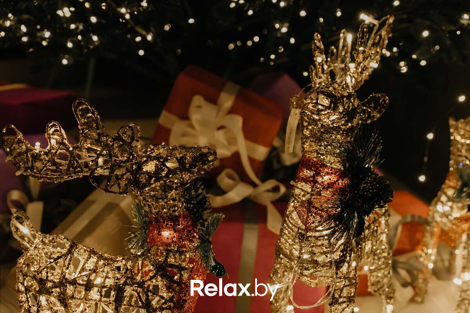 Ночные жители, фото № 53