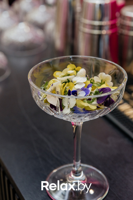 Открытие шоурума белорусского бренда женской одежды base.Vi, фото № 25