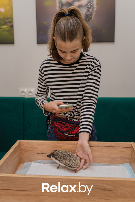 Открытие антикафе «Ёж кафе», фото № 36