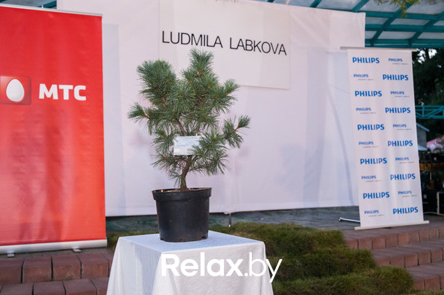 Благотворительный раут, фото № 106