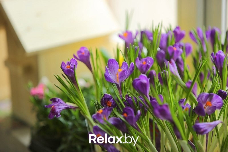 Воркшоп #Весенний лес, фото № 21