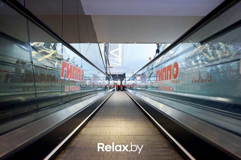 Открытие ГИППО, фото № 20