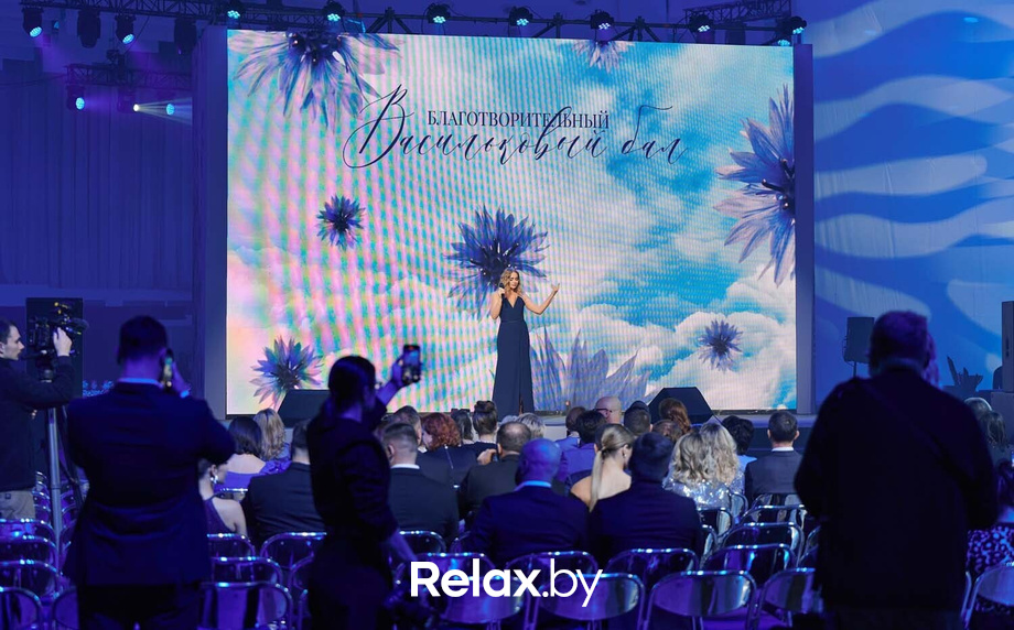 Благотворительный Васильковый бал, фото № 31