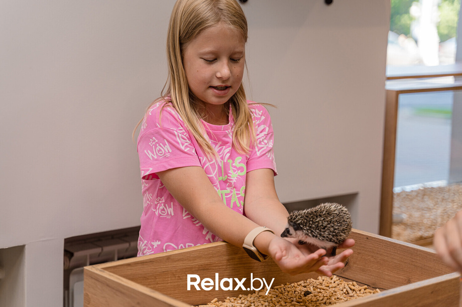 Открытие антикафе «Ёж кафе», фото № 24