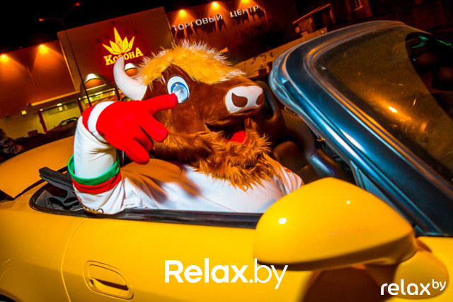 Эти забавные болельщики: вторая часть, фото № 109