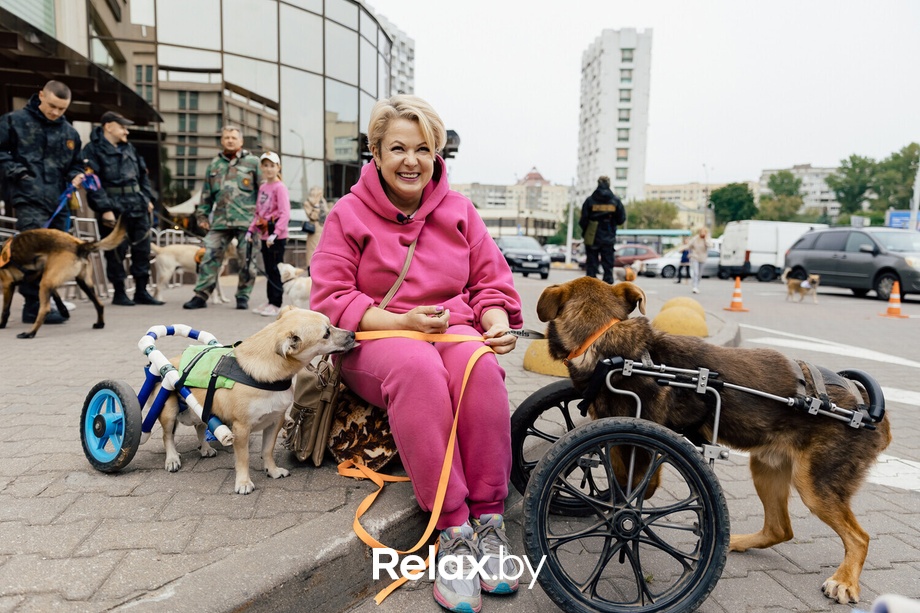 Благотворительная акция пушистого добра, фото № 42