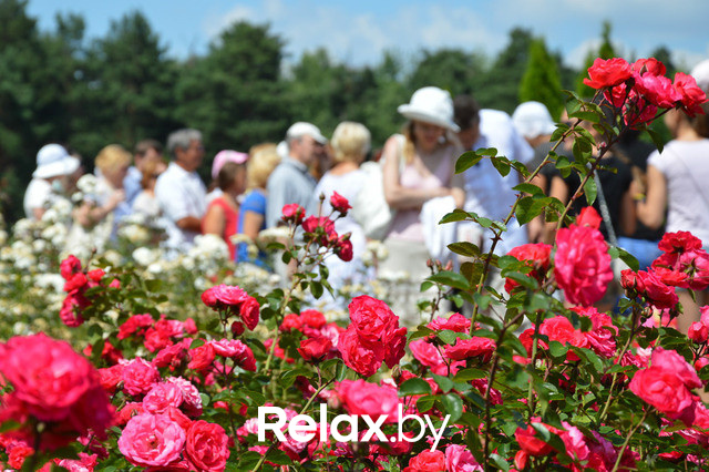 Фестиваль роз, фото № 58