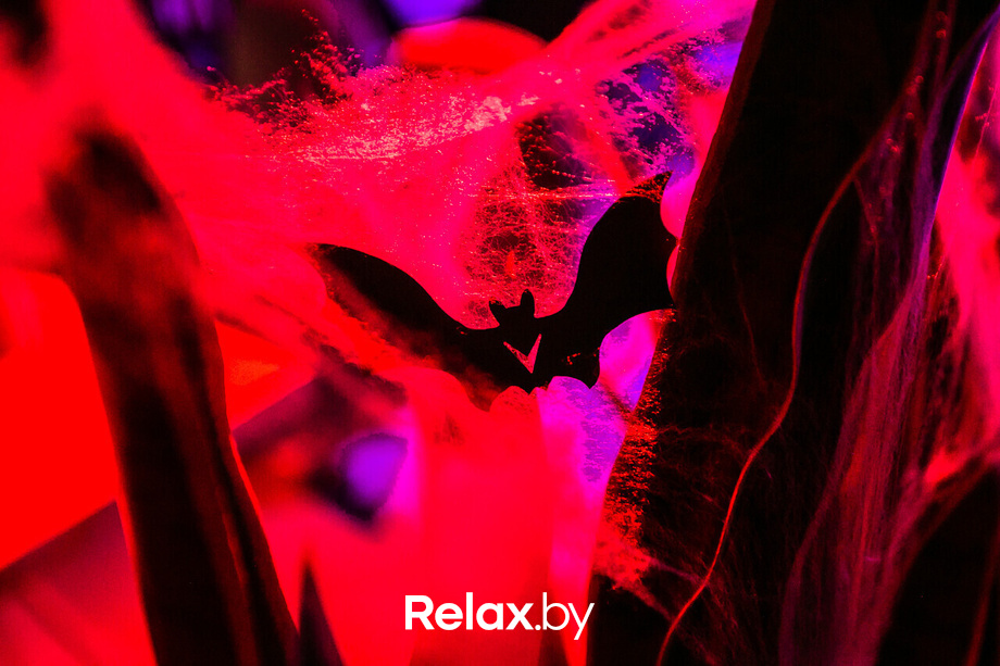 Цирк Ужасов, фото № 68