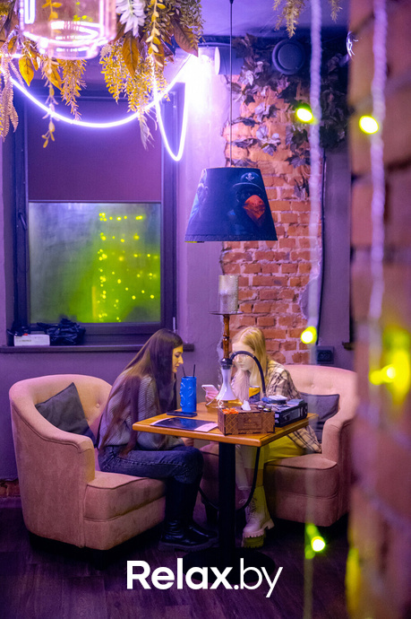 Monkey Brothers, фото № 3