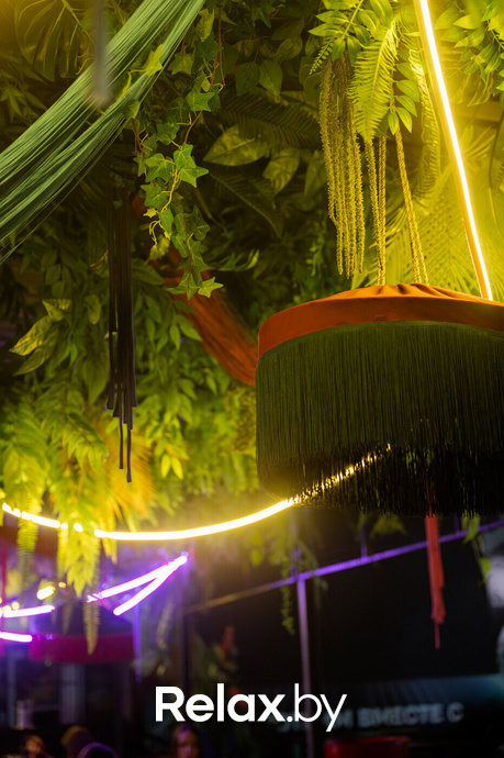 Monkey Brothers, фото № 76