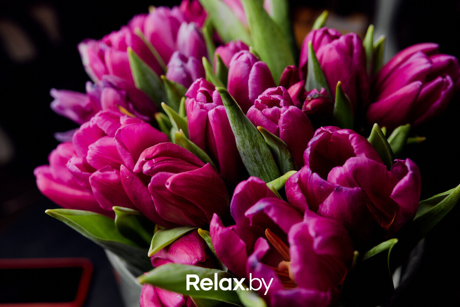 8 марта HP Stella, фото № 12