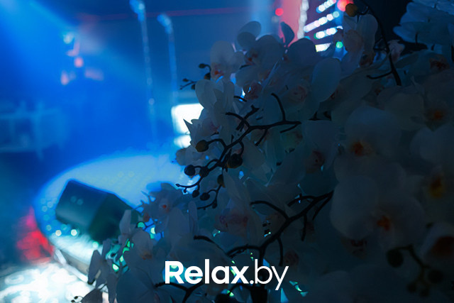 Сливочные ночи, фото № 9