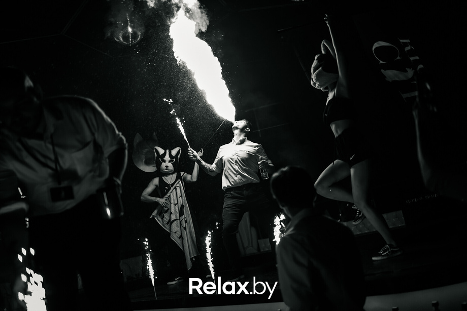 Rich Cat friday, фото № 102