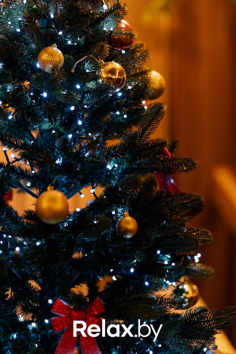 Ночные жители, фото № 4