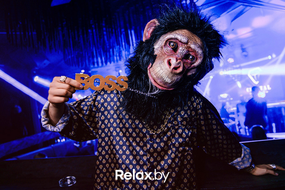 Cococoon, фото № 30