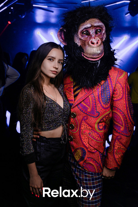 Birds show, фото № 32