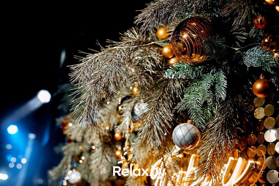 Предновогодние вечеринки в Ангелах, фото № 103